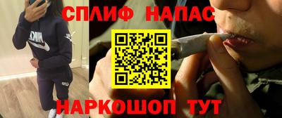 прущие грибы Заводоуковск