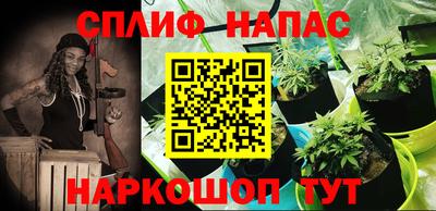 прущие грибы Заводоуковск